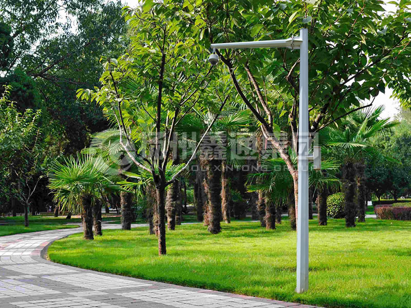 DJG-022，電子警察桿，八棱懸臂球機桿